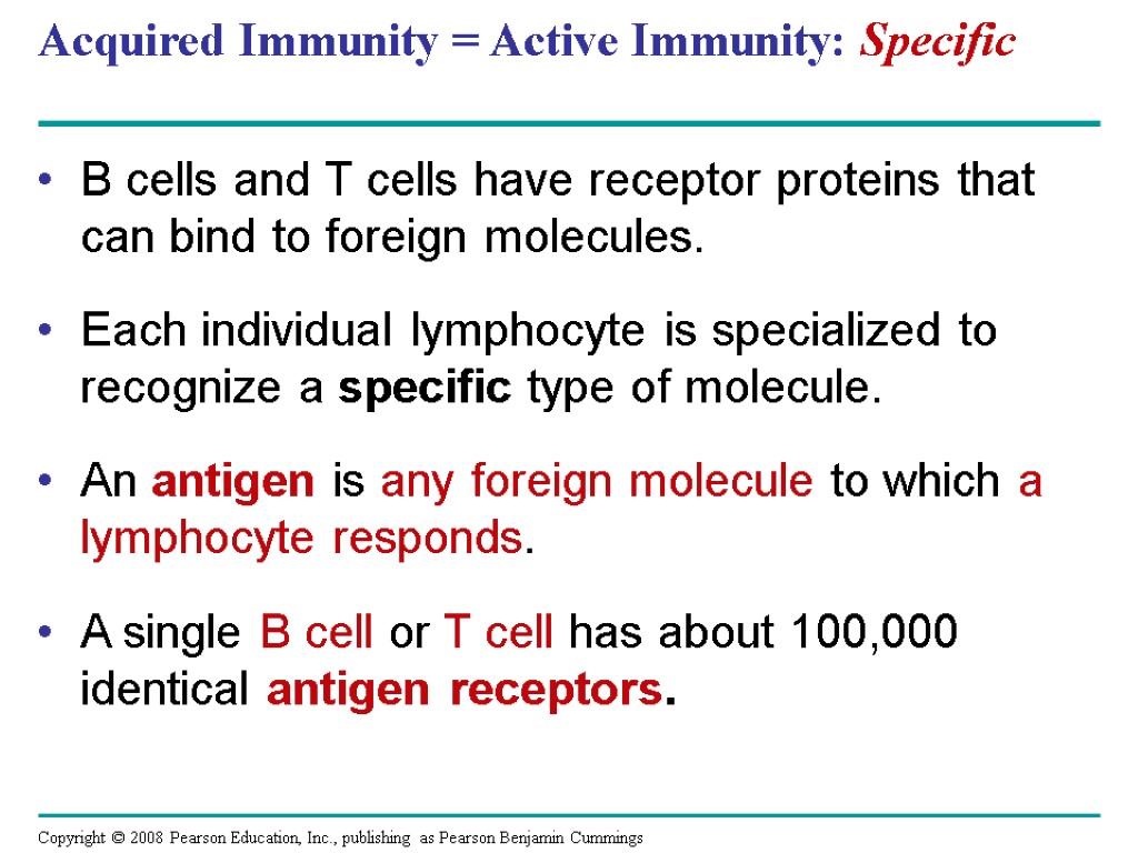 Acquired Immunity = Active Immunity: Specific B cells and T cells have receptor proteins